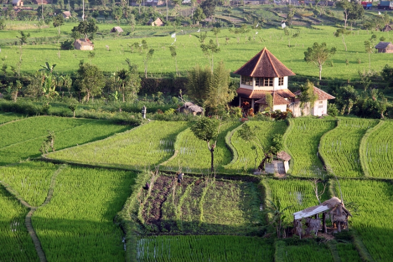 Tirtagangga, Bali Tirtagangga Indonesia 2.jpg - Indonesia Bali Tirtagangga